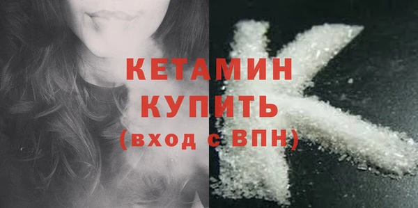 гидра Елизово
