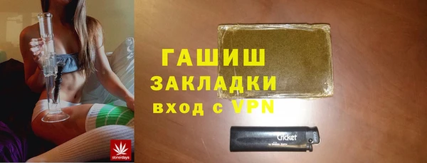 гидра Елизово