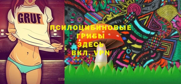 гидра Елизово