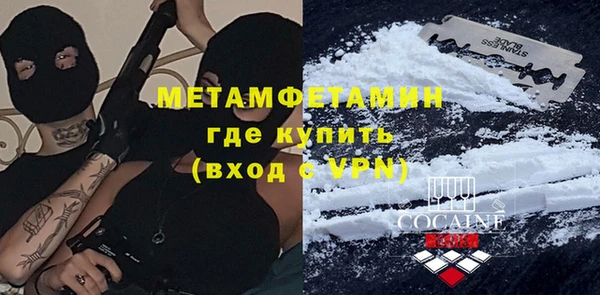 гидра Елизово