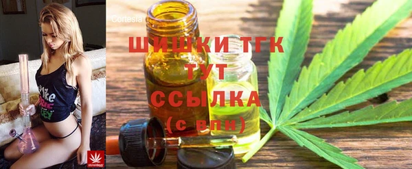 винт Елабуга