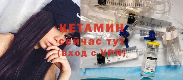 гидра Елизово