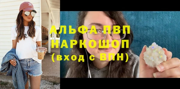 гидра Елизово