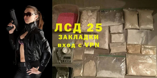 гидра Елизово