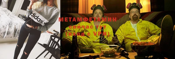 гидра Елизово